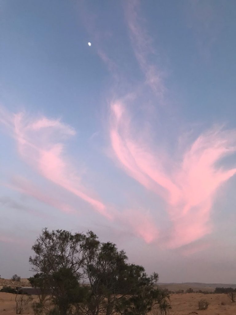 sugandho-now-about-landscapes4